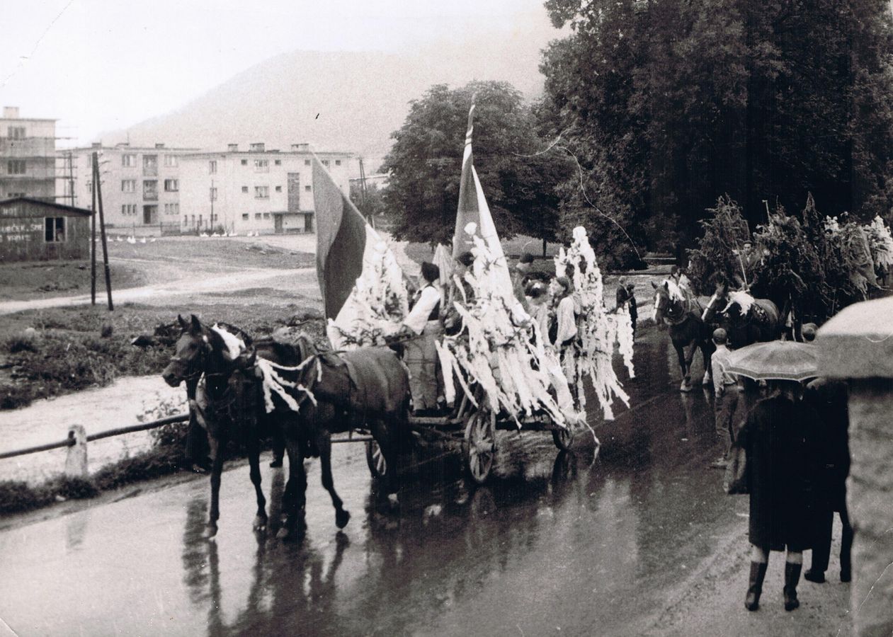 Katalóg foto č. 6 čelo vozového sprievodu výsledok